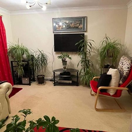 Cozy Homestay London Borough of London Borough of Croydon Exterior foto