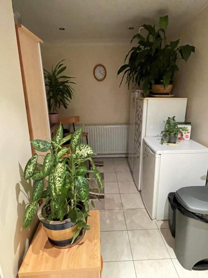 Cozy Homestay London Borough of London Borough of Croydon Exterior foto